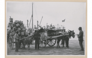 Am Hafen von Cagliari, Sardinien, 1931, Inv.Nr. 2017.1:5. © MARKK, Foto: Julius Konietzko